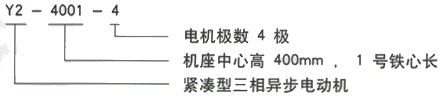 YR系列(H355-1000)高压YJTFKK5604-2三相异步电机西安西玛电机型号说明